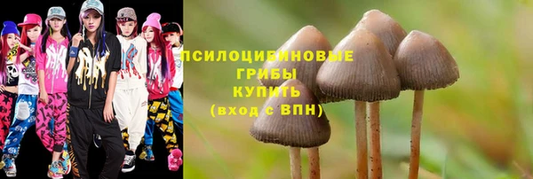 дурь Магас