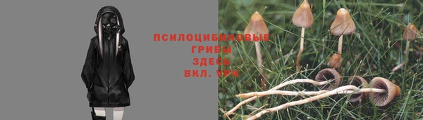дурь Магас
