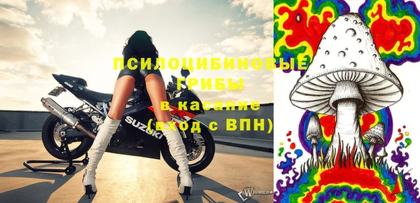 дурь Магас