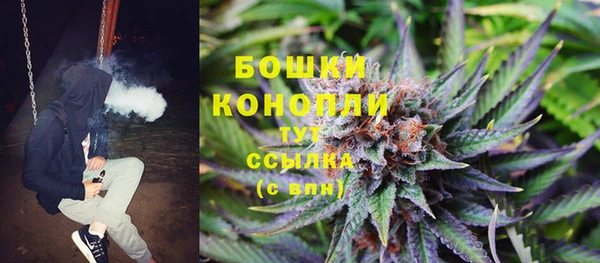 дурь Магас