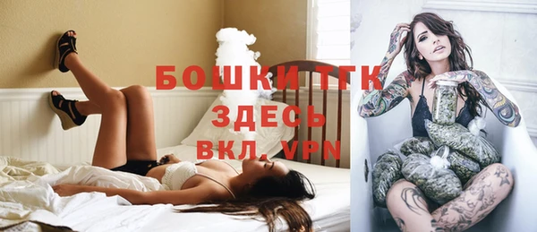 дурь Магас