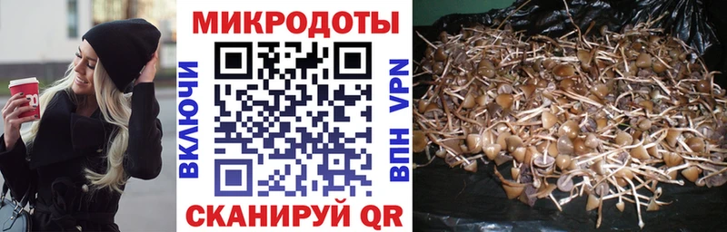 Галлюциногенные грибы Psilocybine cubensis  Купить  Фатеж 